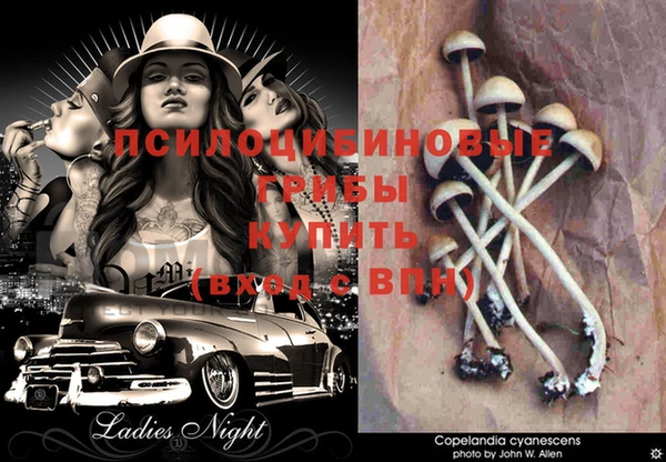 винт Майский
