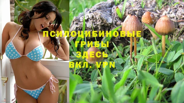 винт Майский