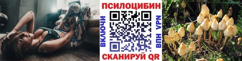 Галлюциногенные грибы мухоморы  KRAKEN зеркало  Сурск 